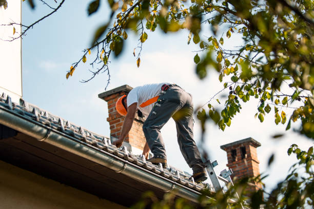Best Commercial Roof Installation  in Doniphan, MO