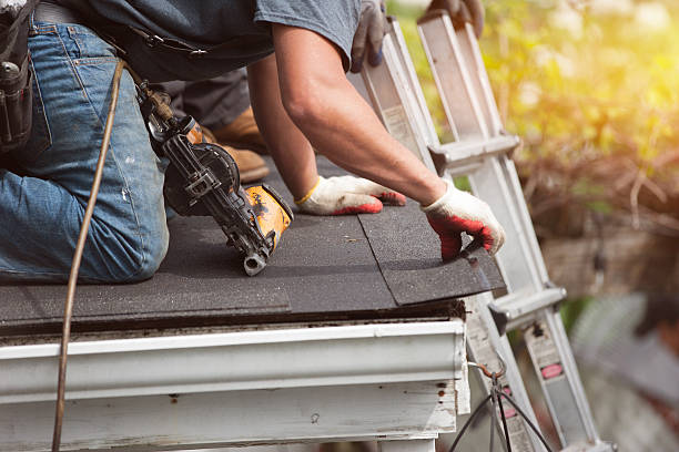 Best Roof Maintenance Services  in Doniphan, MO